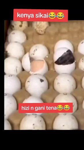 #CapCut #babugeeomosayansi #fyyyypppppppppppppppppppppppp #kisiitiktokres #kasongo #Buckethead #TikTokLIVE #salasia