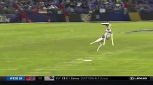 Give this man a contract! 🙌 | NFL Memes