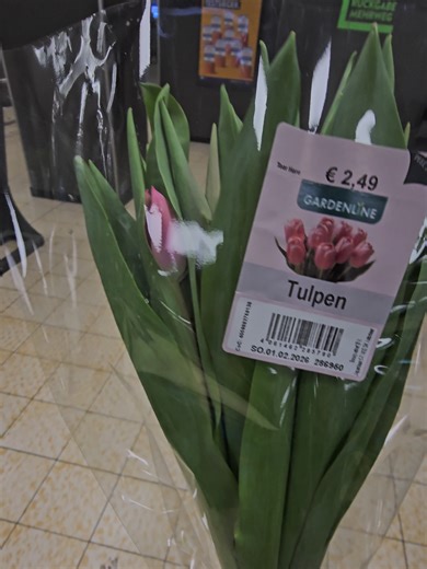 Сегодня много видео от Графа, но это точно лучшее. Зовут Кана, точно свободная девушка, которая хочет внимания, парни есть шанс у смелых, первого красавца ждёт #знакомство #смелый #живой #настоящий #ultima_graf