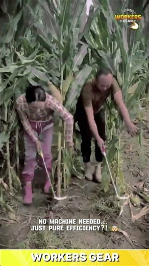 Hand - Operated Corn Cutter Tool for Fast Harvesting and Farming Efficiency in Narrow Field Rows