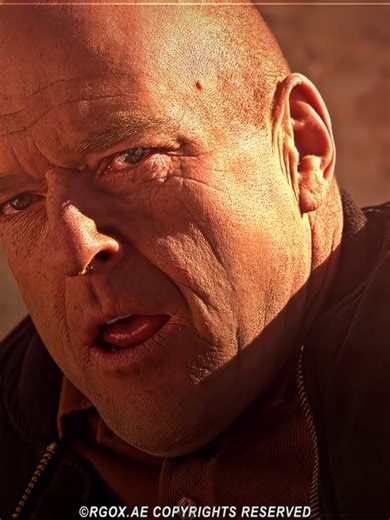 Ozymandias: The Ultimate Breaking Bad Episode Recap