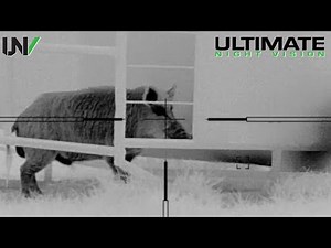 115 Hogs Down with the N-Vision Halo XRF