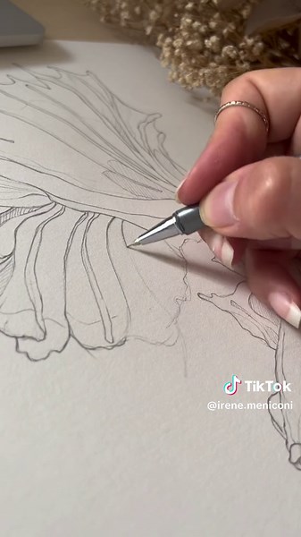 Betta Fish Pencil Drawing Process