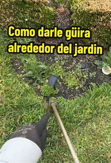 Tips for Trimming Around Your Garden