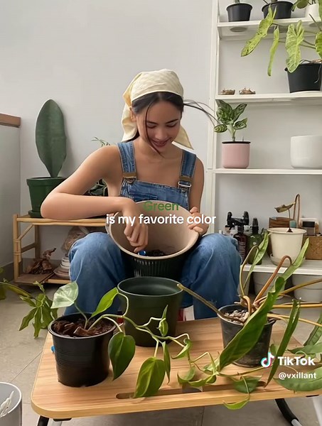 The Beauty of Green: Nature Vibes and Aesthetic Summer Colors