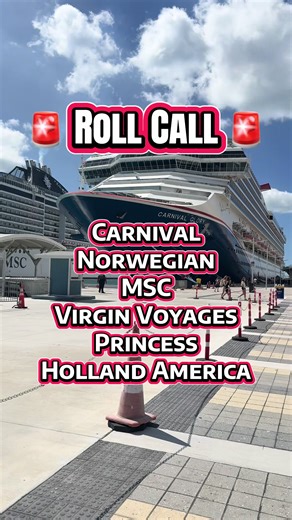 Essential Luggage Tag Holders for Cruise Travelers