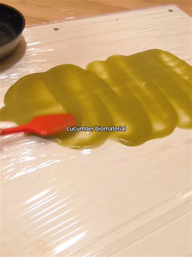 Biomaterial I made for my collages 350 cucumbers (whole) 200ml water 24g gelatin 14g potato starch 18ml glycerin 1.5g citric acid poured on a plastic bag, dried for 3 days room temp #bioart #artprocess #biomaterial