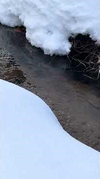 29. An untitled poem read by an unnamed tributary of Claypit Creek