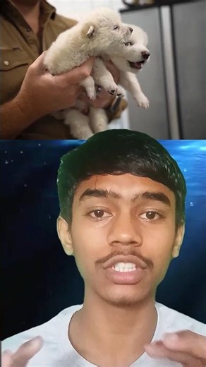 2025’s Most Powerful Human Innovations 🚀