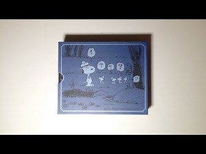 The Complete Peanuts 1991-1994 Gift Box Set (Vols. 21-22) - video preview