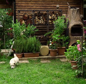 36K views · 4.1K reactions | How to Make Turkish Tea and Revani - Outdoor Cooking | Outdoor Cooking | Facebook