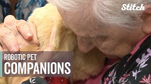 Robotic pets provide companionship, comfort to dementia patients