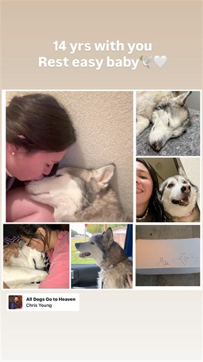 22 reactions · 19 comments | Vanessa Ramirez on Reels | Facebook