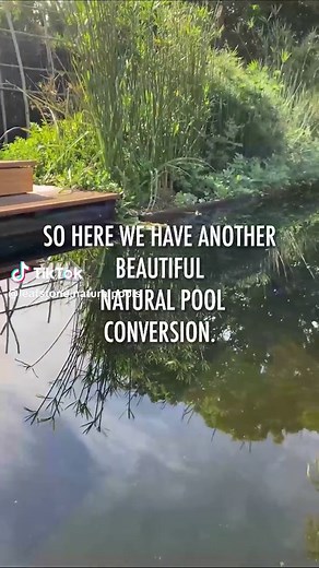 Transformez votre piscine en oasis naturelle