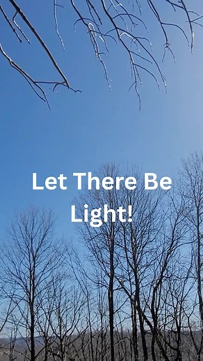 Timber Management for Better Whitetail Hunting! | Epic Whitetail Habitat, LLC