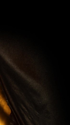 💪🏻💪🏻💪🏻 Showdown #wrestling #kenshamrock #thebritishbulldog | Ken Shamrock