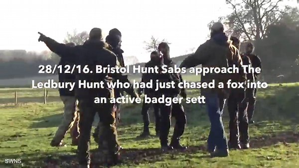 Shocking footage shows violent fight break out over fox hunt