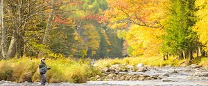 Adirondack Fishing