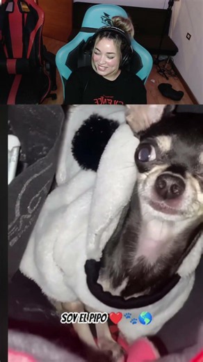 🇲🇽WHEN YOUR MOM PUTS SECURITY ON HER WALLET😬🤣🤣🐶