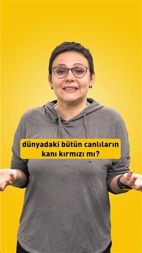 What substance gives blood its red color? 🩸