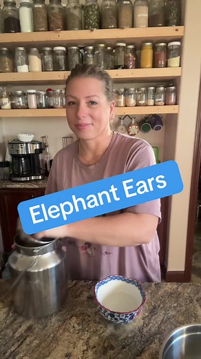 Easy Elephant Ears Recipe for Delicious Fair Food
