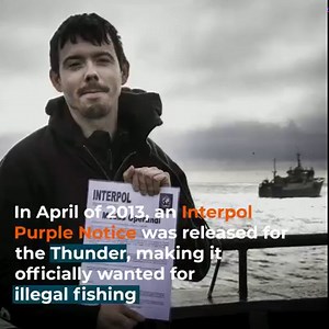 2.1M views · 14K reactions | Six years ago today, the rogue poaching...