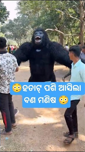 ବଣ ଭୋଜି ୨୦୨୫ | Main course menu 🥰 #picnic #maincourserecipe #tour #recipe #food #food #shortsfeed