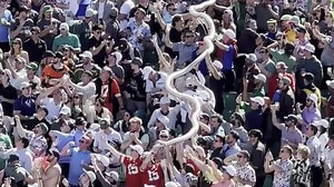 BuzzVideos - Golf Fans Create Beer Cup Snake