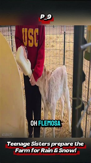 Teenage Sisters prepare the Farm for Rain & Snow! #FarmTok #FarmLife #CountryLife #RuralLife #Sisters
