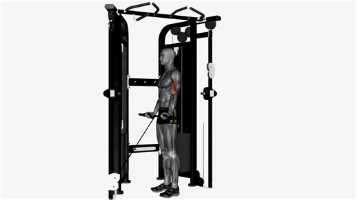 Ez Bar Cable Curl Wide Grip Crossover Machine