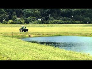 OSU Aquaculture - Pond Fertilization - Educational Video