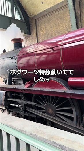 ホグワーツ特急動くようになってて草#ホグワーツ特急#ハリーポッター#ハリーポッター新エリア#harrypotter