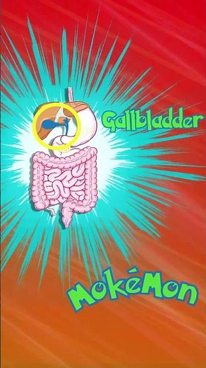 Who's that Mokémon?! (S1 E2)