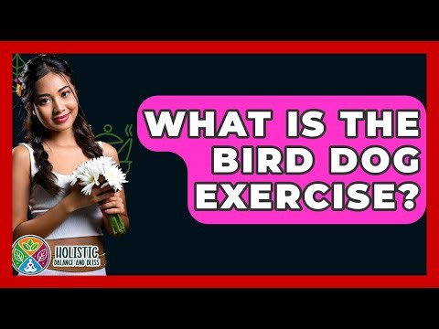 What Is The Bird Dog Exercise? - Holistic Balance And Bliss