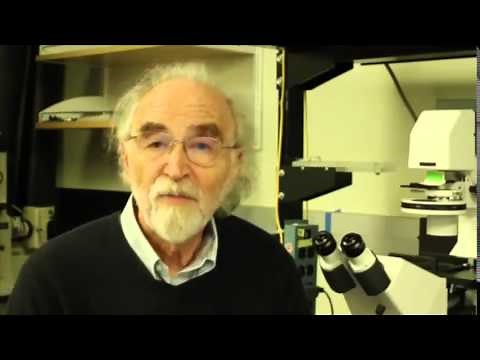 Can Water Cure Disease?