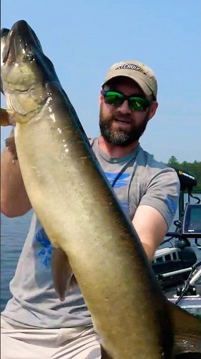 Ultimate MUSKY Cast-Back Fishing SECRET!🤫 #fishing #musky #muskyfishing #muskie #esox #strike #esox