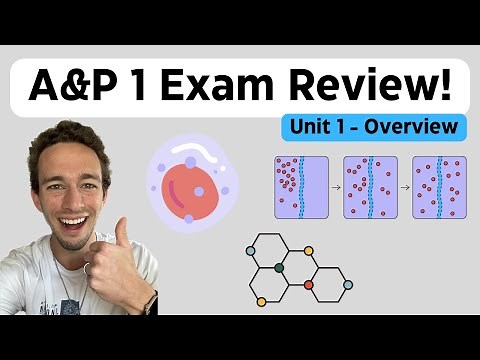 Anatomy & Physiology: Unit 1 Review | Homeostasis, Chemistry, Cells, & Tissues