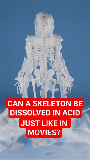 Can Acid Dissolve Bones Just Like In Movies? (Don't Try At Home)