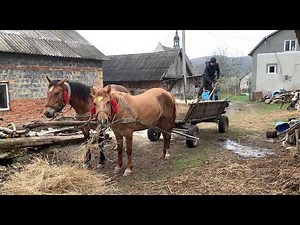 The Beauty of Mountain Life: Horses, Fields, and Hard Work