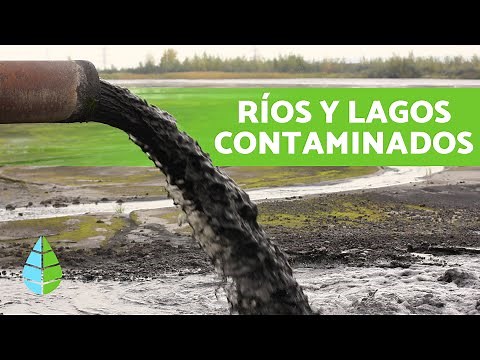 CAUSES and CONSEQUENCES of POLLUTION of LAKES and RIVERS