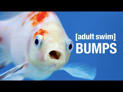 September 2023 Bumps | adult swim