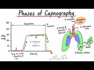 Phases of capnography waveform explained