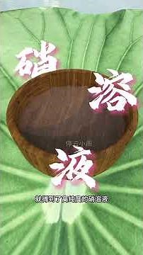 如果穿越回古代，怎样才能制作硝石？#科普 #涨知识 #艺术