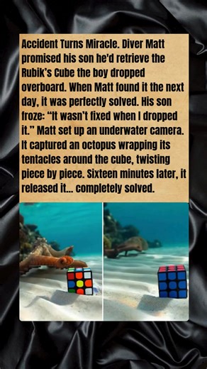 World Smartest Octopus? Watch Him Solve a Rubik's Cube with Tentacles #wholesome #wildlife #octopus | The Animal Story book