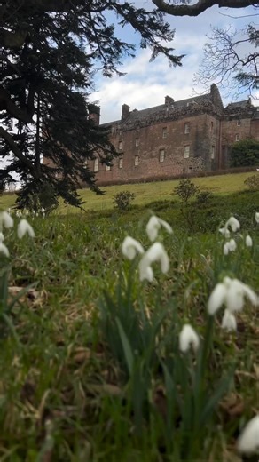 14K views · 230 reactions | A place teeming with history and...