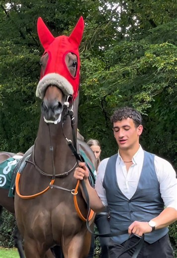 Son of England: A Tribute to Racehorses