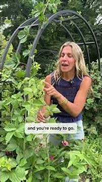 Here’s how to grow blackberries in your very own backyard #blackberry #berries #gardening #plants