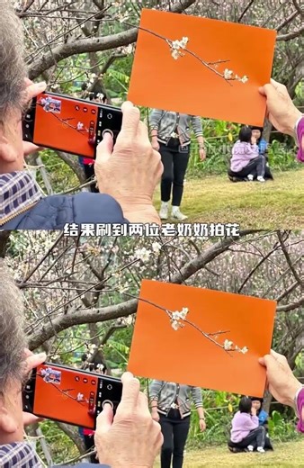 Want to take photos of flowers? Two sheets of cardstock are enough. #flowers #photography #redwal...