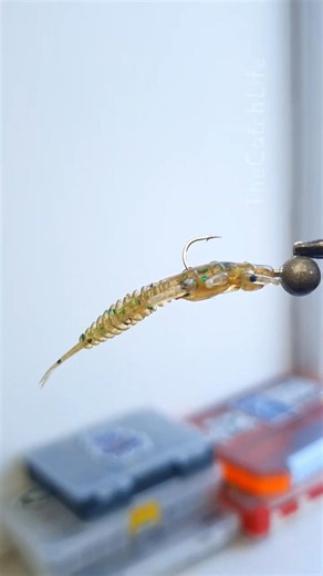 How to Rig a Grub Jig Head Tail Up or Down? 🐛