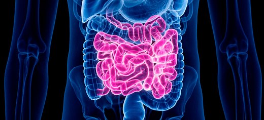 Soil-Based Probiotics (SBOs) Benefits and How to Use